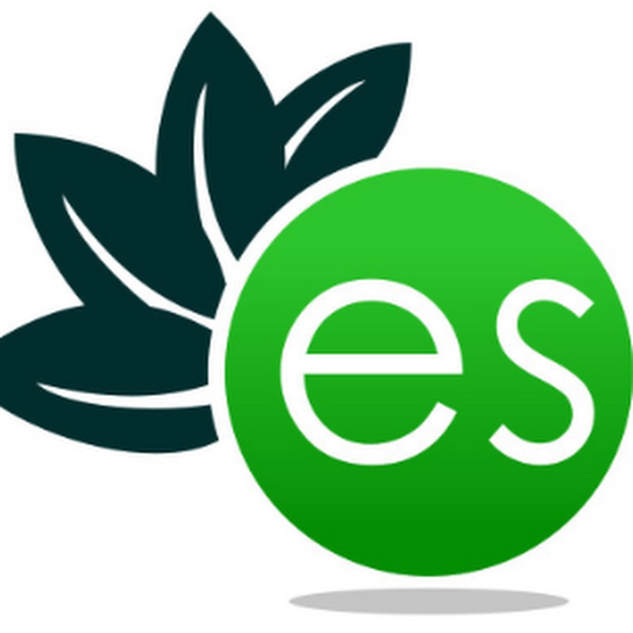 Electricsense logo