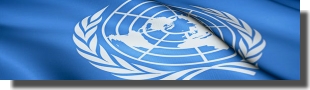 Drapeau onu